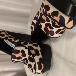 Size 6 Steve Madden shoes